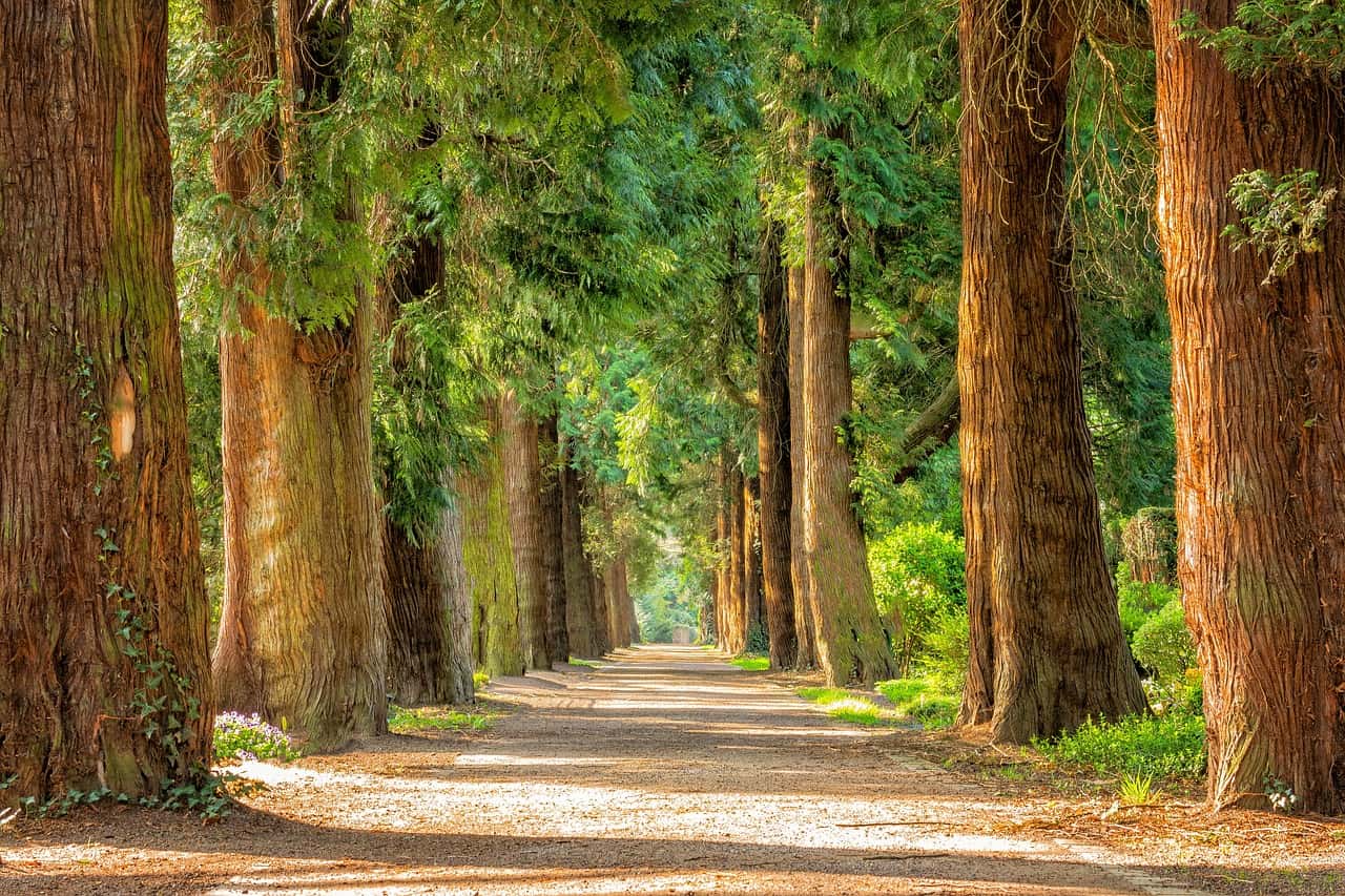 青山沟风景区旅游攻略 解锁辽宁秘境的山水